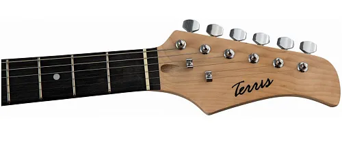 Terris TPACK-1 BK Электрогитарный набор.