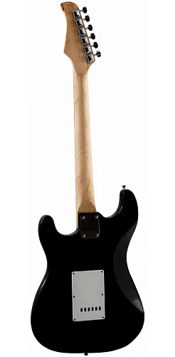 Terris TPACK-1 BK Электрогитарный набор.